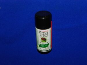 KD Bed Bug Killer - Domestic 75g 12/cs