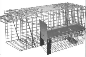 Pest Planet Live Animal Trap 2 pack