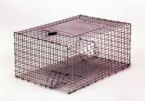 Kage-All Sparrow Repeating Trap