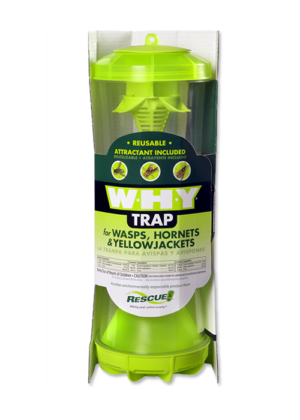 Rescue W-H-Y Floor Display 36 Traps