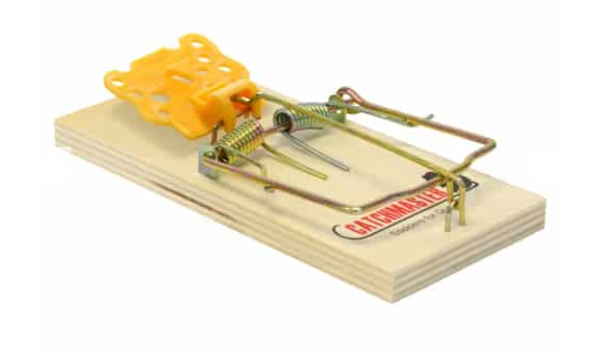 Catchmaster Mouse Traps Wood 2pk - 602RE-18 - Image 2