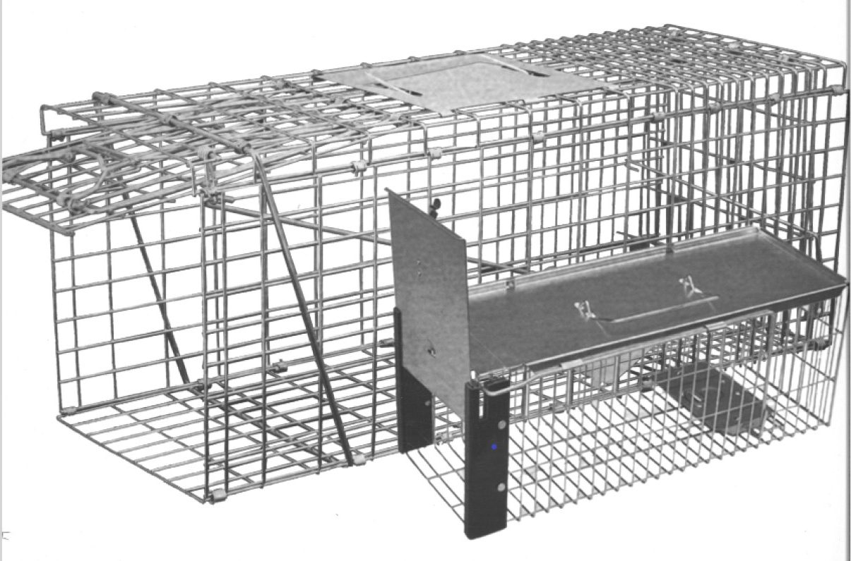 Pest Planet Live Animal Trap 2 pack