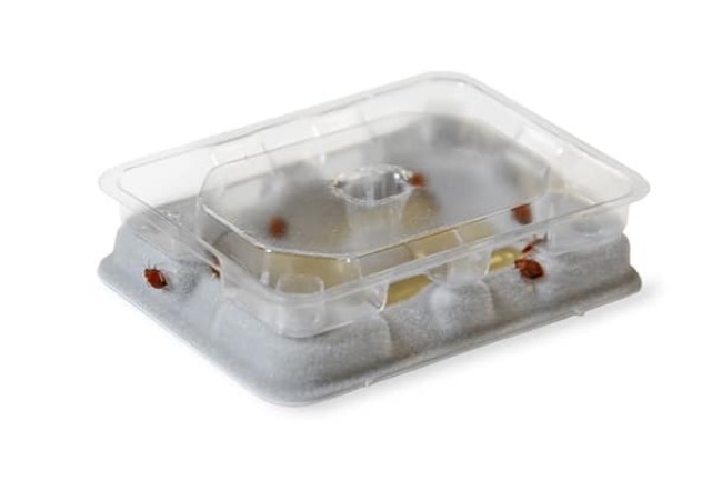 Catchmaster Bed Bug Monitor 4pk - 504 - Image 2