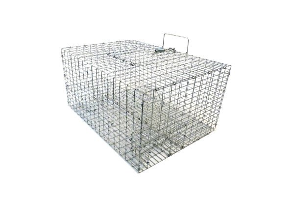 Tomahawk Live Sparrow Trap (SP2)