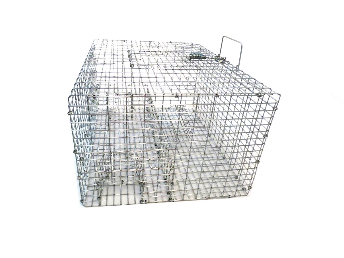 Tomahawk Live Sparrow Trap (SP2) - Image 2