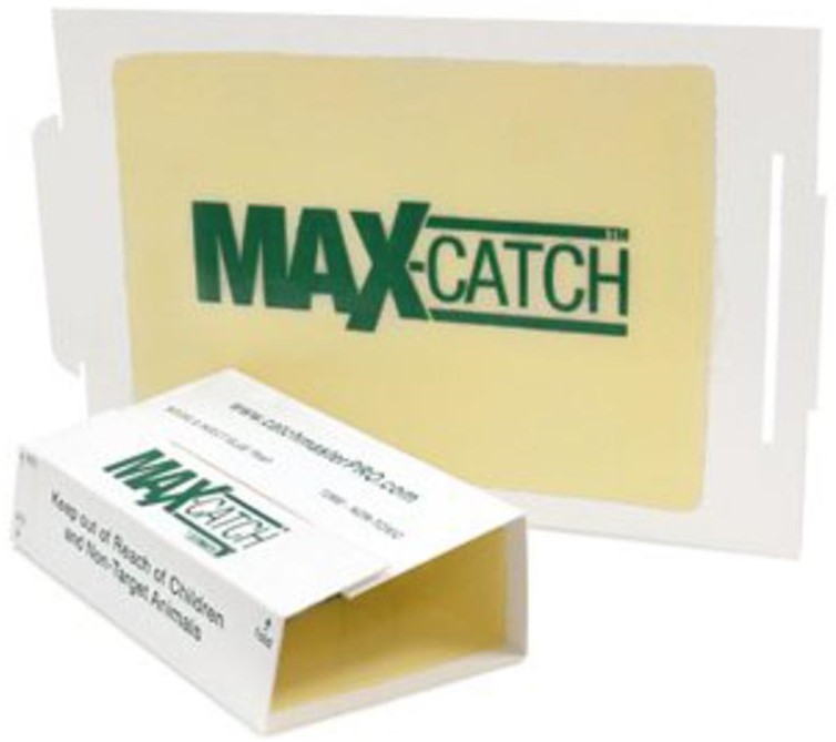 CatchMaster 72 Max Folding Glue Boards 72/Box