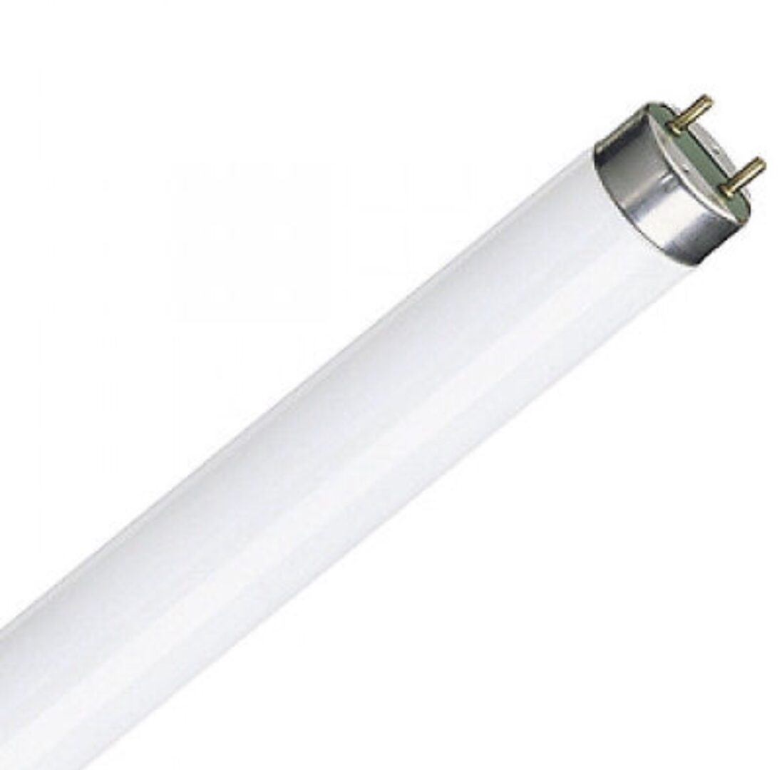 Fly Light Lamp