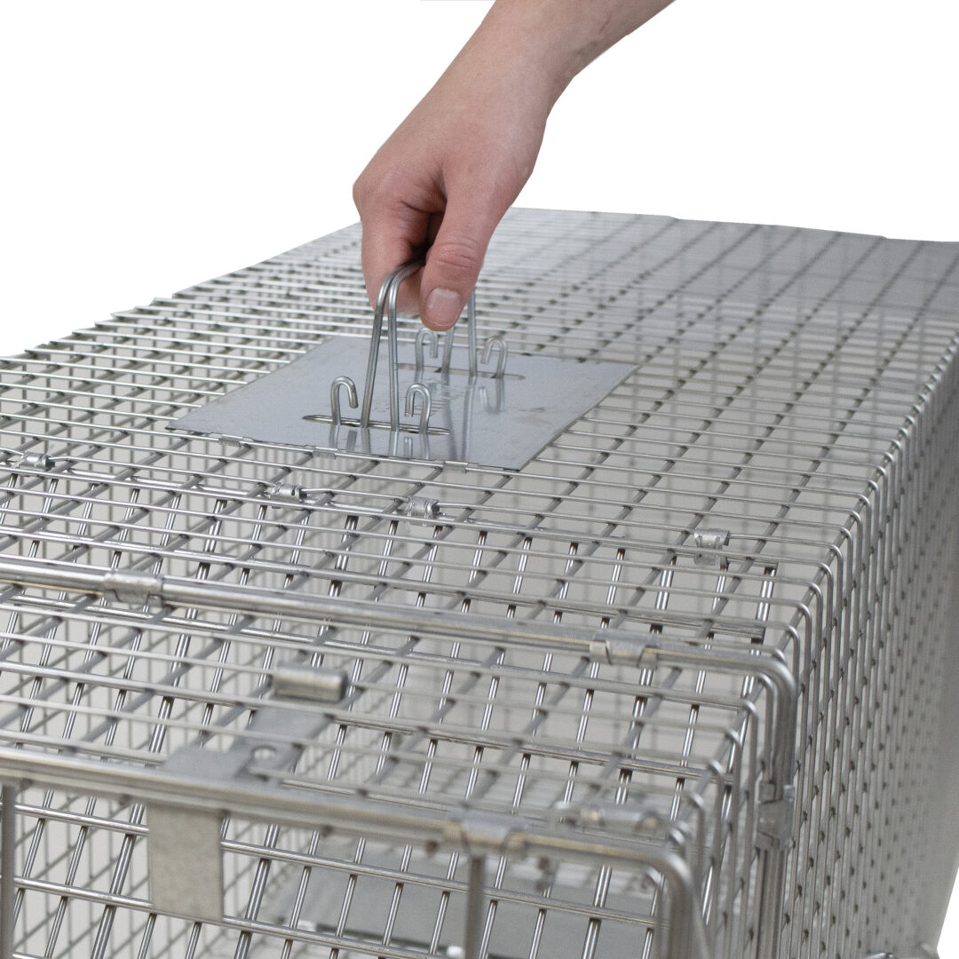 Havahart X-Large 1-Door Raccoon Trap 42" x 15" x 15" - 1081 - Image 3
