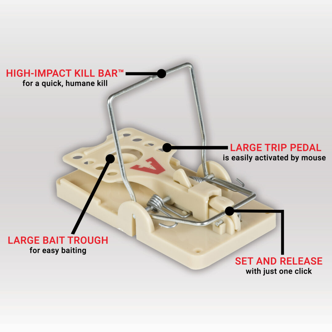 Victor Power-Kill Mouse Trap 2-Pack - M142S 2 Victor Power-Kill Mouse Trap 2-Pack - M142S - Image 2