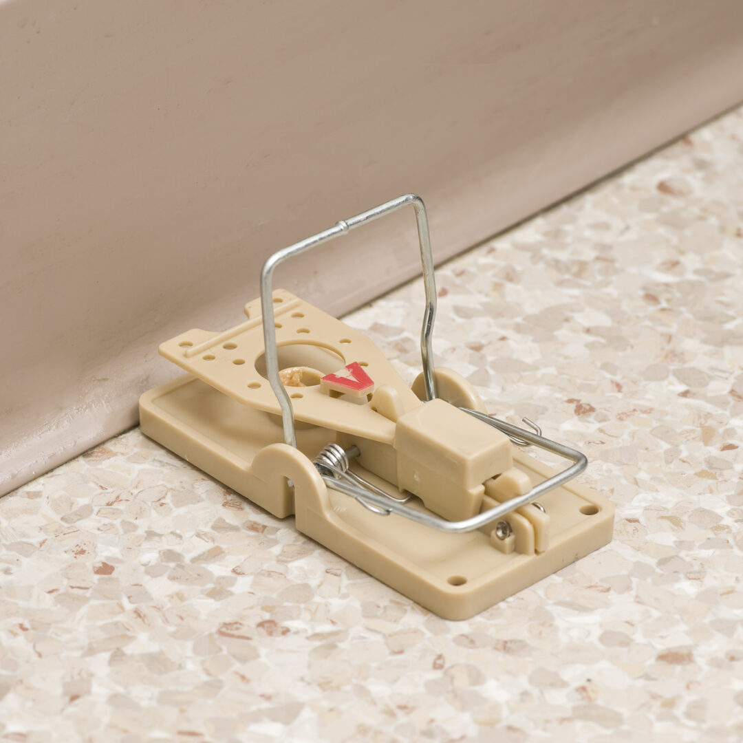 Victor Power-Kill Mouse Trap 2-Pack - M142S 3 Victor Power-Kill Mouse Trap 2-Pack - M142S - Image 3