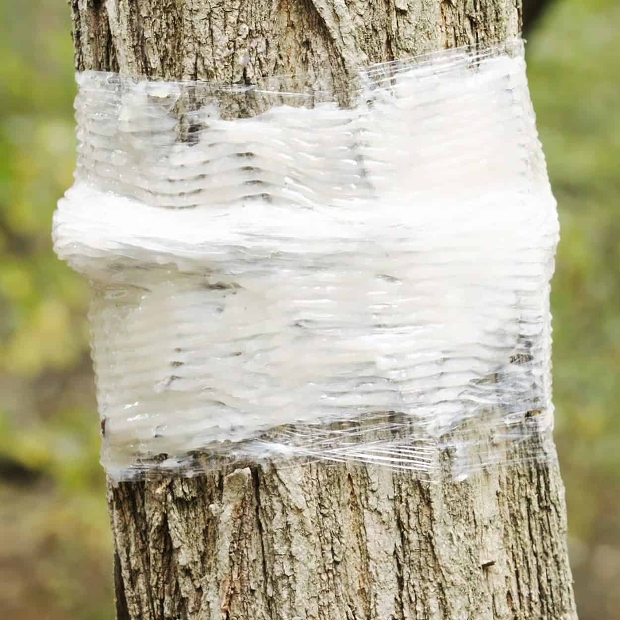 Catchmaster Tree Banding Kit # TB-HEAVY - Image 6