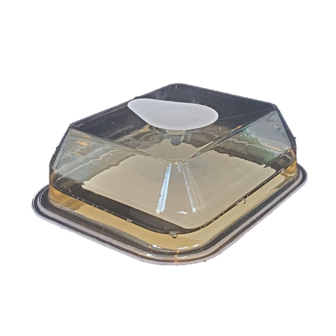 Commercial Fruit Fly Trap