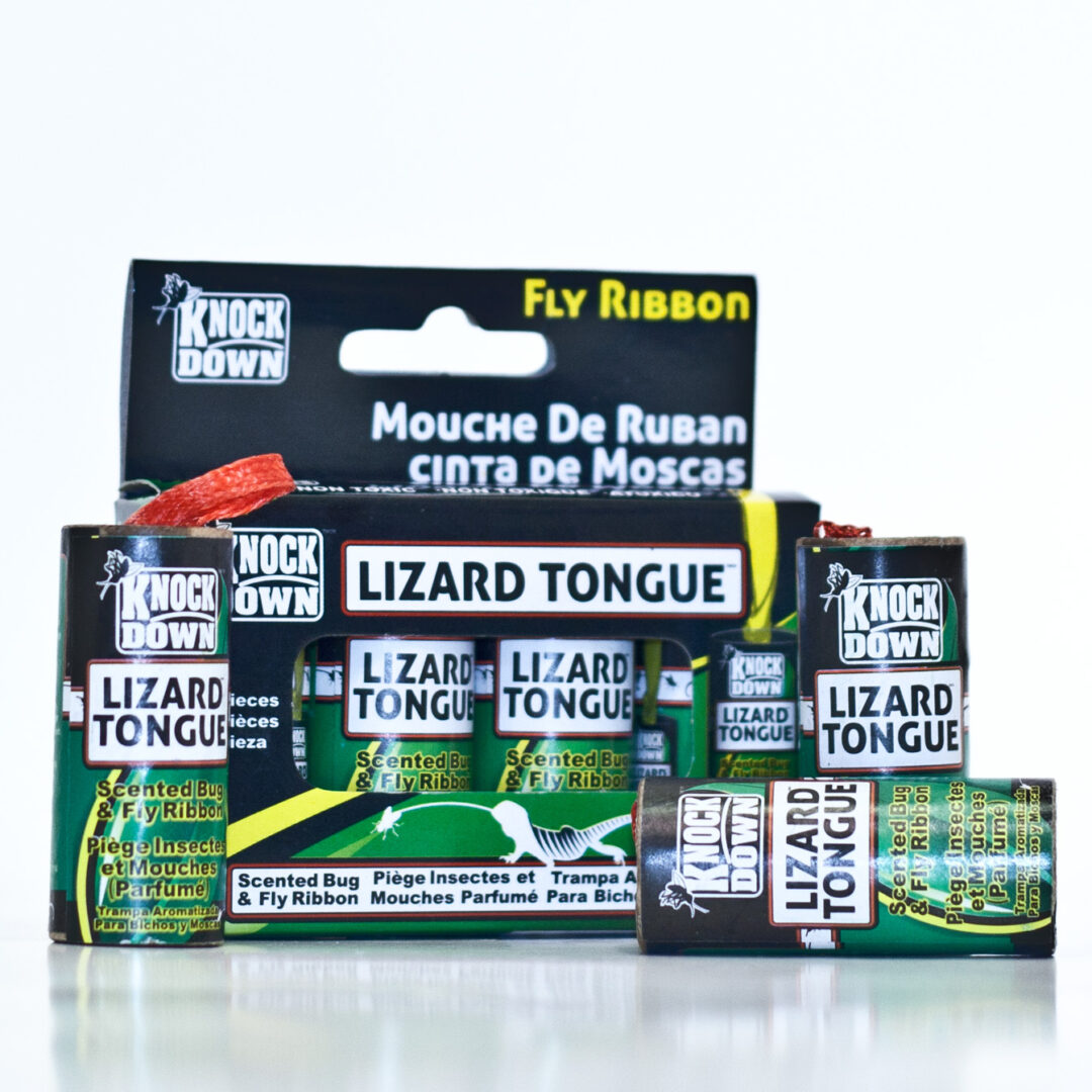 Knock Down Lizard Tongue Fly Ribbon 4/pk - KD0505 - Image 2
