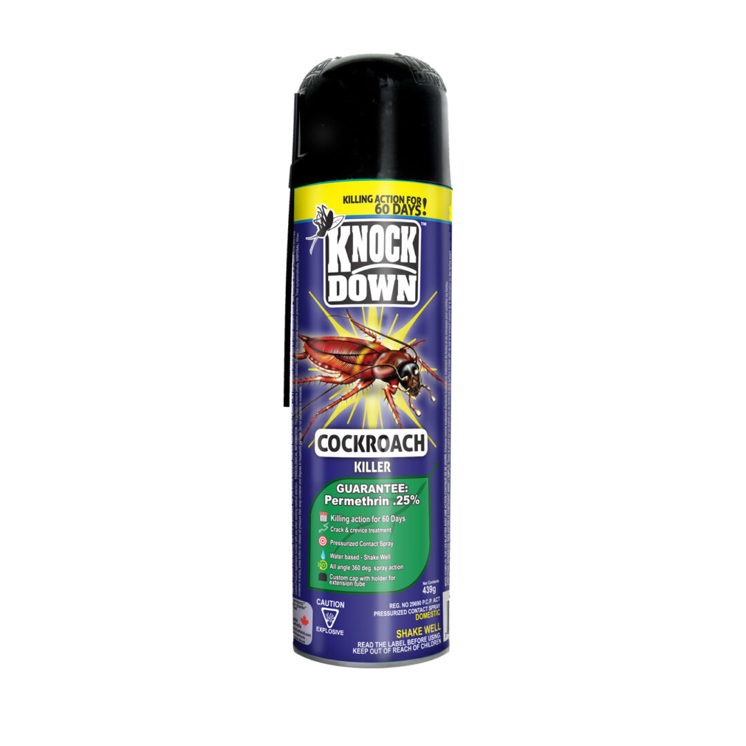 KD Cockroach Killer - Domestic 439g 12/cs - KD101D
