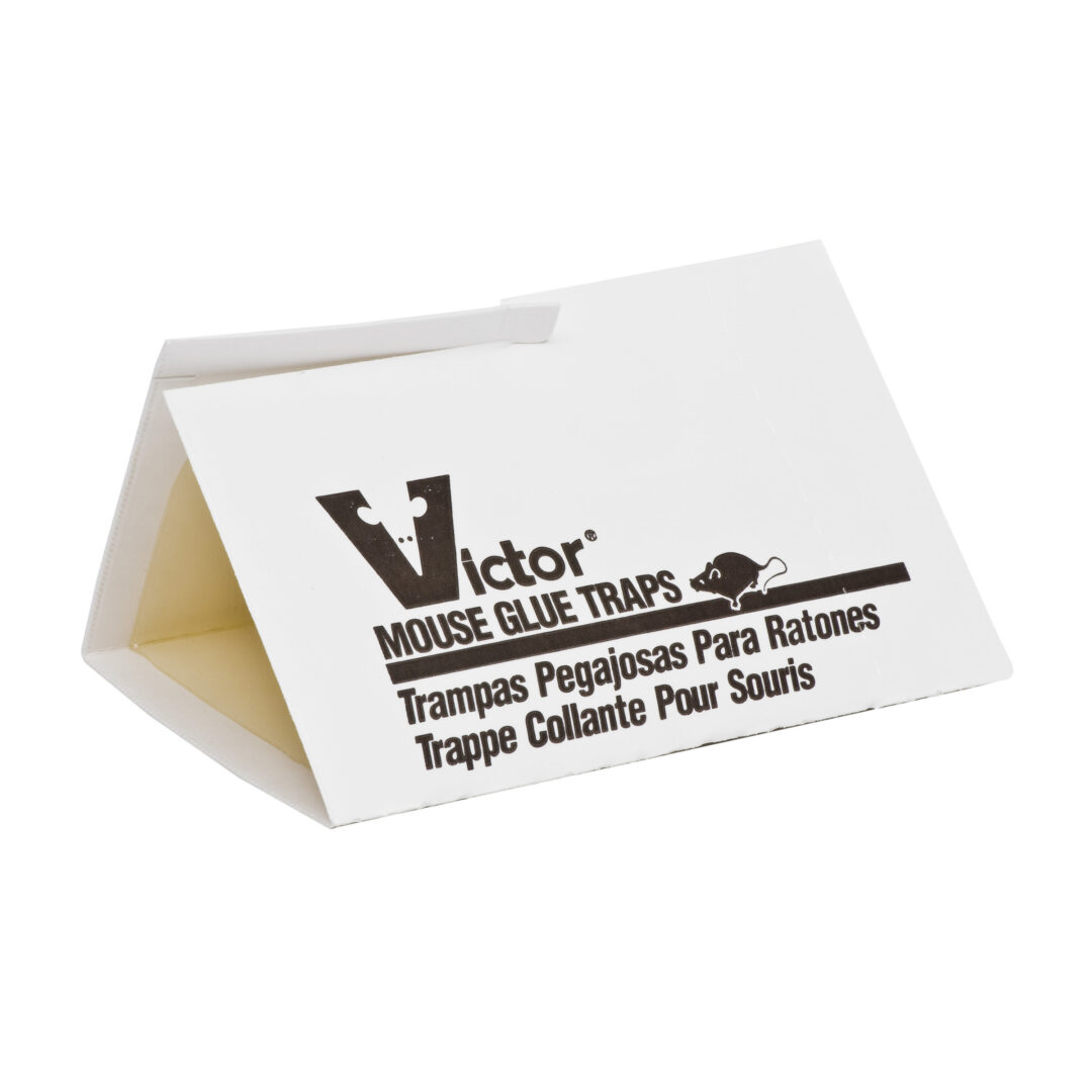 Victor Medium Mouse Glue Board 8.25" X 5" - M320 - Image 2