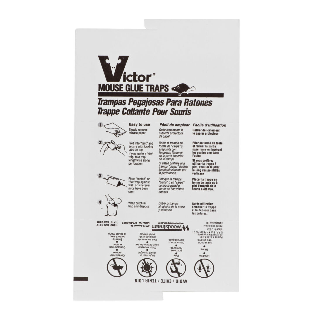 Victor Medium Mouse Glue Board 8.25" X 5" - M320