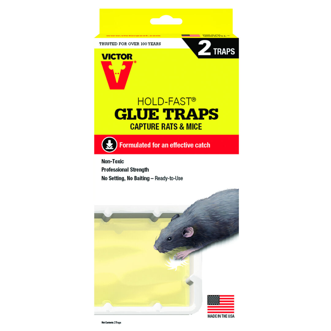Victor Hold-Fast Refillable Rat Glue Tray – 12 x 2 Traps - M773CAN