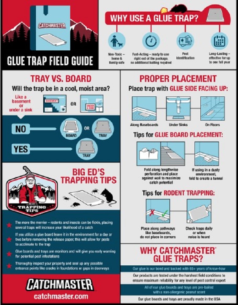 Catchmaster Glue Boards 4pk - 1872SD - Image 3