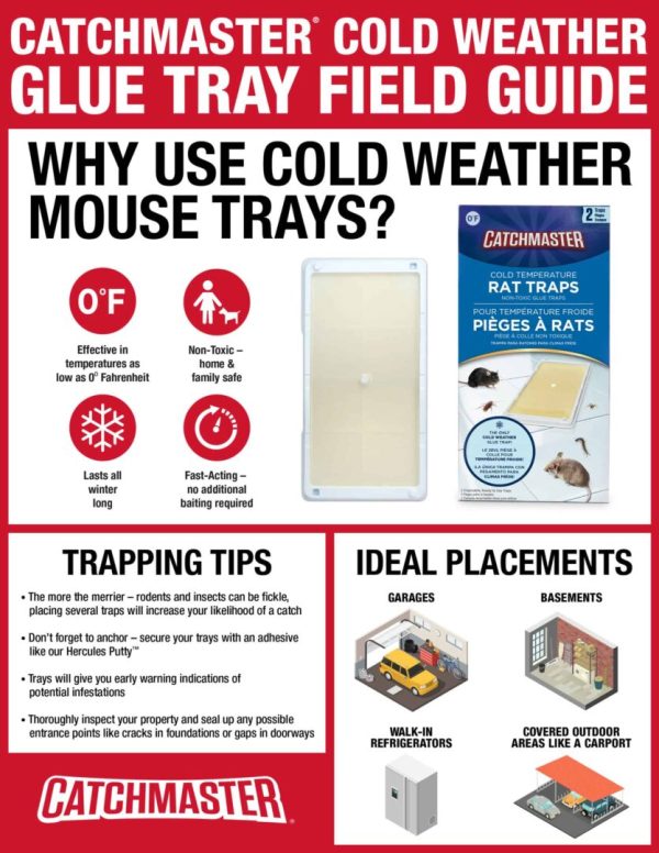 CatchMaster Cold Weather Glue Boards 2/pk # 48WRG - Image 4