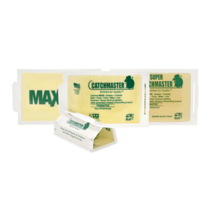 72MB Unscented Mouse Glue Board 72/Box