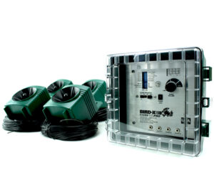 BBP 438x398 bird xdotcom RESTRICTED USE