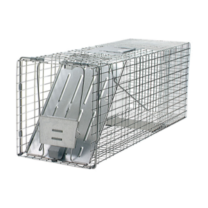 Havahart Raccoon Trap 1 Spring Loaded Door 32 x 10 x 12 - 1079