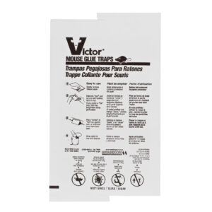 Victor Medium Mouse Glue Board 8.25" X 5" - M320
