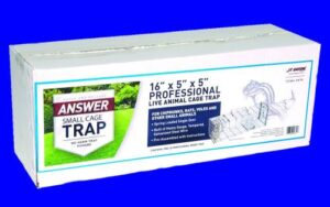 Answer For Chipmunks 16 x 5 x 5 - 497N