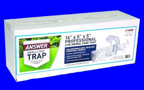 Answer For Chipmunks 16 x 5 x 5 - 497N 1 Answer For Chipmunks 16 x 5 x 5 - 497N