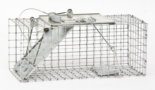 Easy Set Red Squirrel Trap 18 x 9 x 9 - 1083