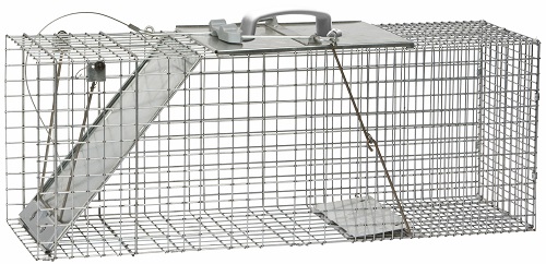 Easy Set Raccoon Trap 1 Door - 33 x 12 x 15 - 1085