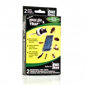 Knock Down Small Glue Trap