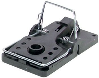 Big Snap-E Rat Trap Bulk 1 Big Snap-E Rat Trap Bulk