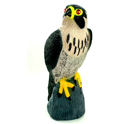 Falcon Decoy