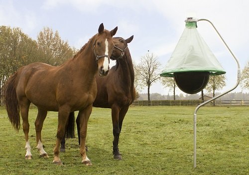 H-Trap Horse Fly Trap