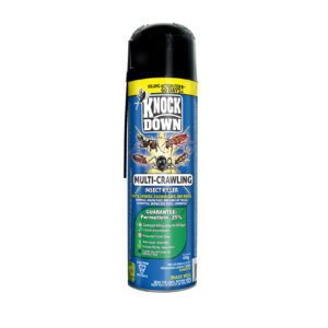 KD Crawling Insect Killer - Domestic 439g 12/cs - KD100D