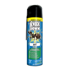 KD Ant Killer - Domestic 439g 12/cs - KD102D