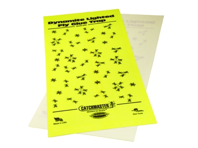 Flylight JR 911 Glue boards 25/PK