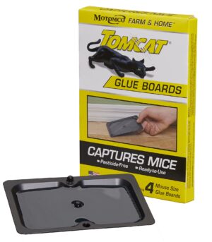 Tomcat Mouse Glueboards 4.5" x 3" 4/pk - 32420